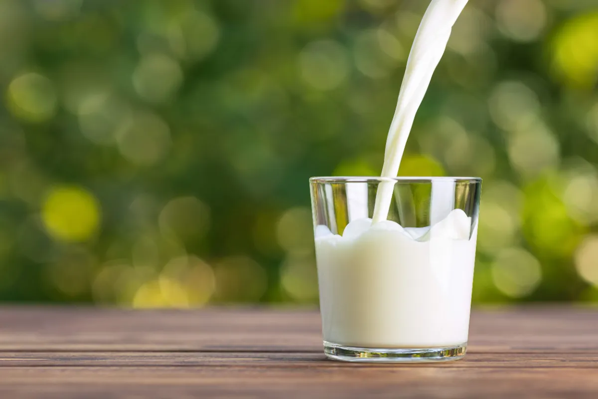 Shocking! Milk Prices Drop by ₹10 Across India – Relief for Millions of Households